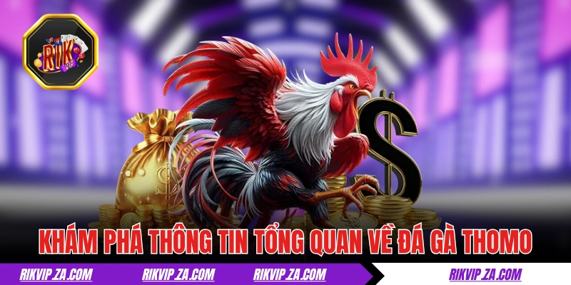 Khám phá thông tin tổng quan về đá gà Thomo
